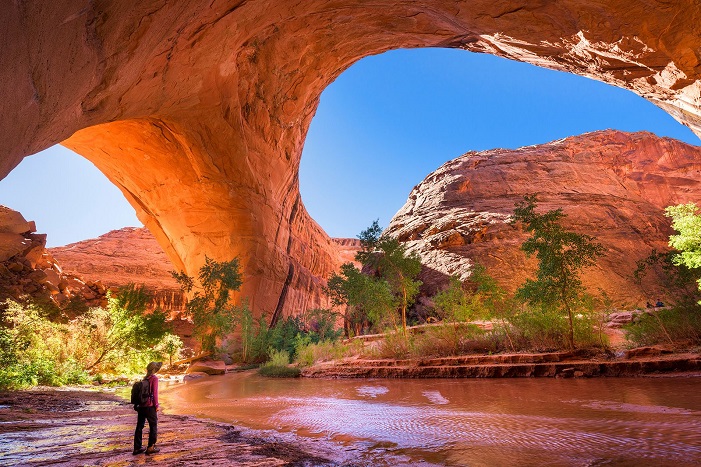 Best National Parks to Visit in US