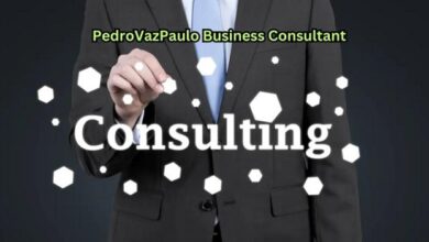 pedrovazpaulo business consultant