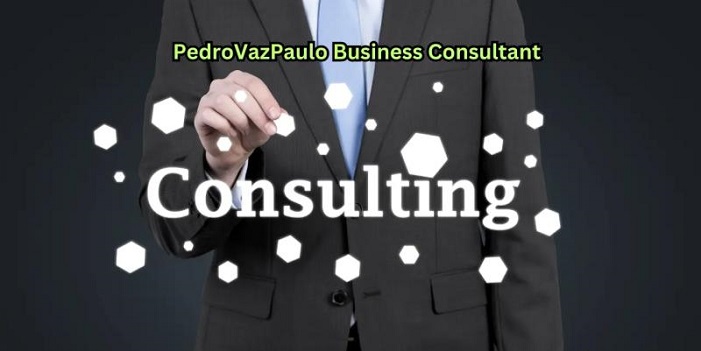 pedrovazpaulo business consultant