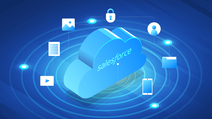 Salesforce Development Company