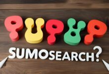 SumoSearch